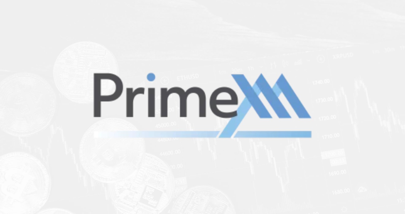Christina Barbash Steps Down as PrimeXM Chief Commercial Officer