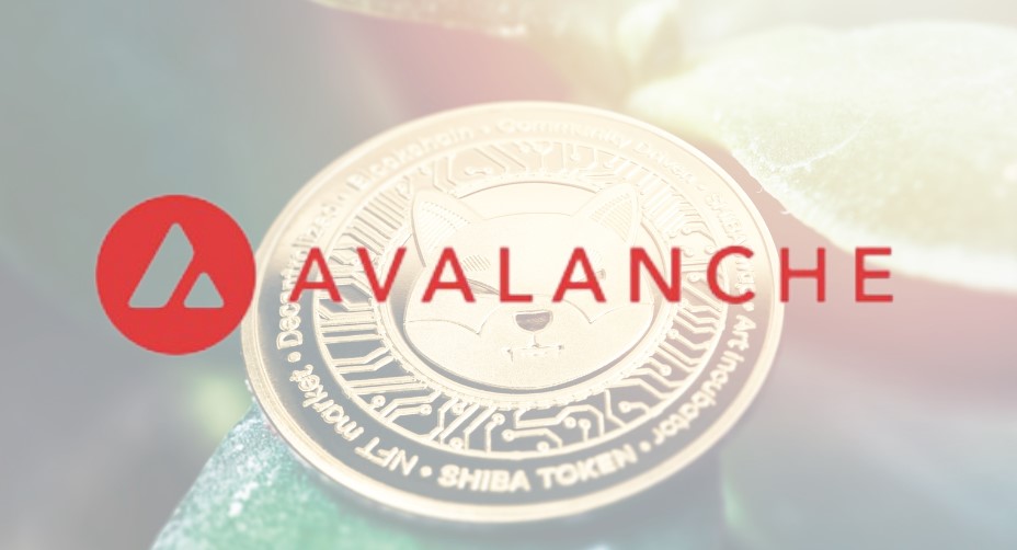 Avalanche Foundation's Cultural Drive - Buys Meme Coins 