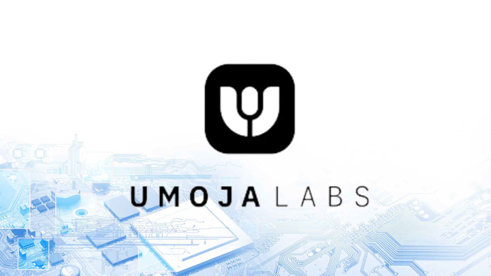 Umoja's Beta Launch - A New Crypto Hedging Approach