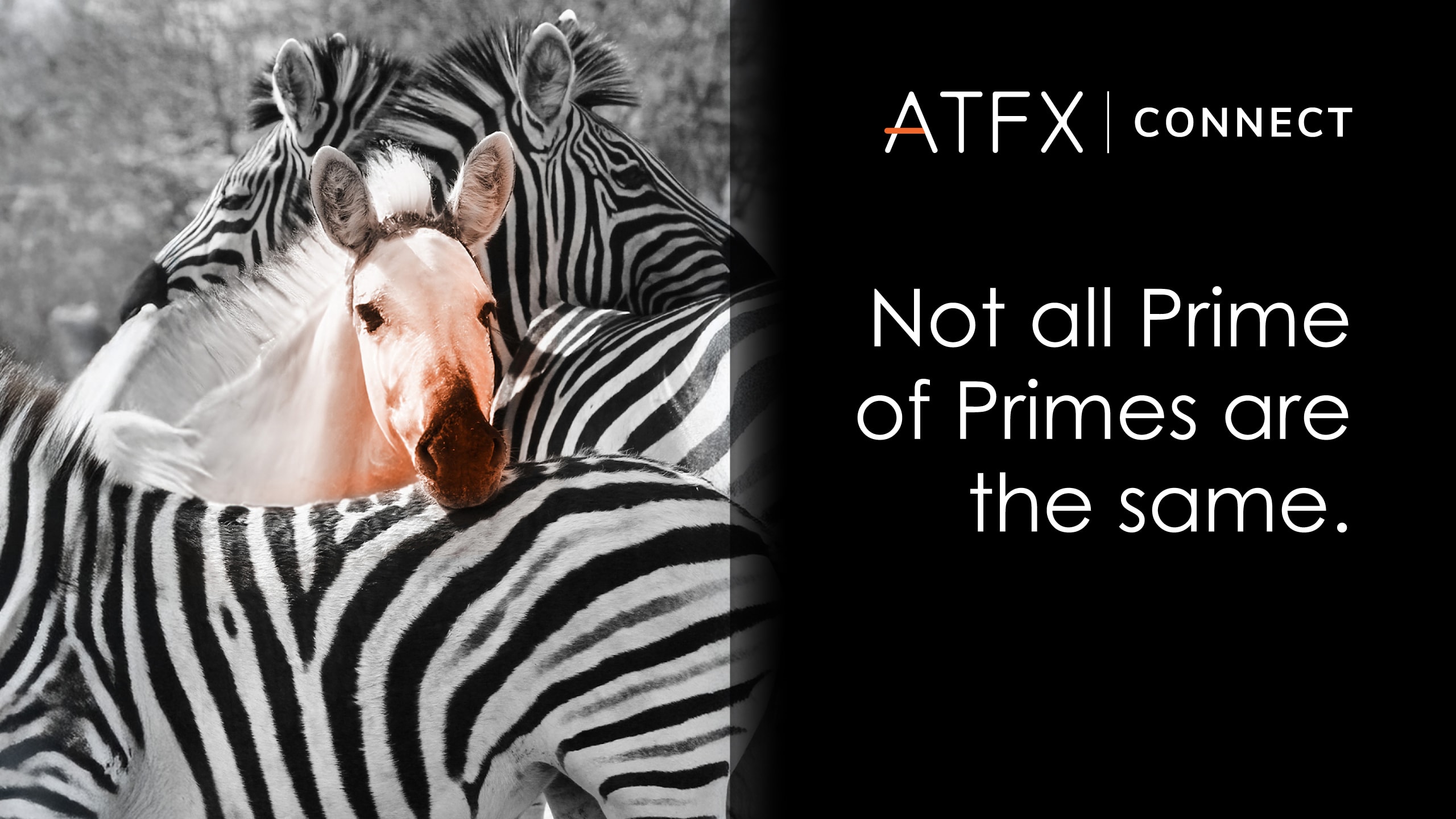 Not All Prime of Prime Brokers Are Created Equal: Wei Qiang